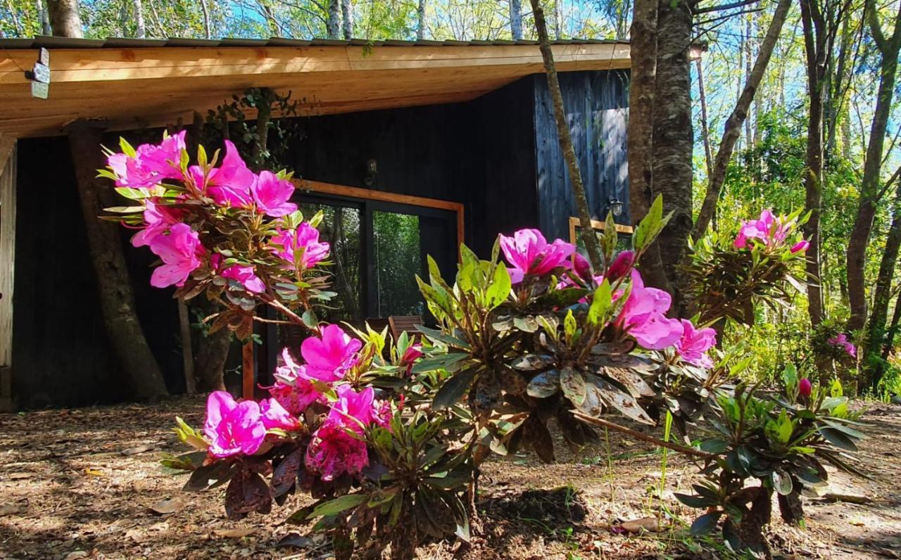Vista Bonita Lodge *