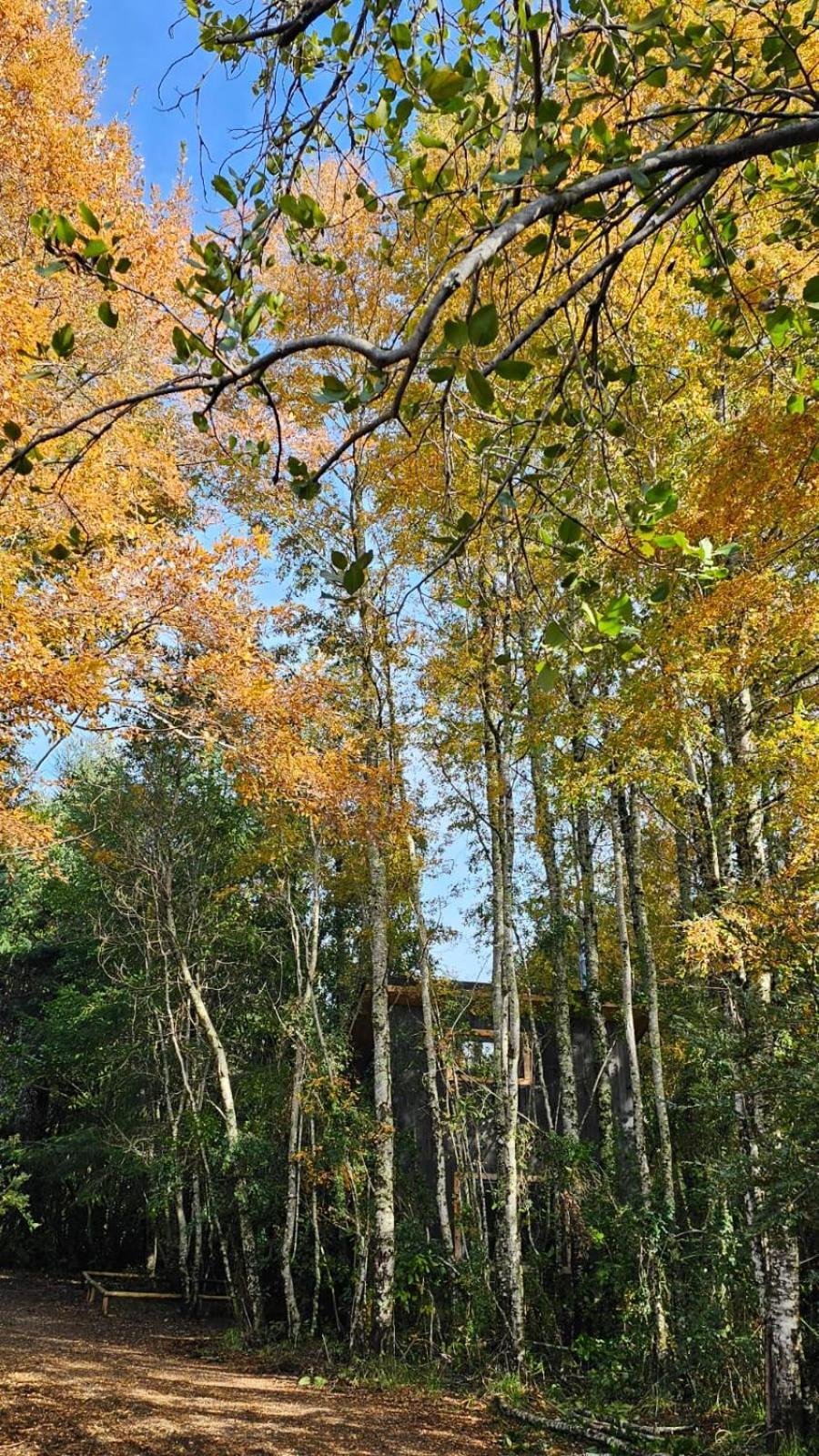 Vista Bonita Lodge