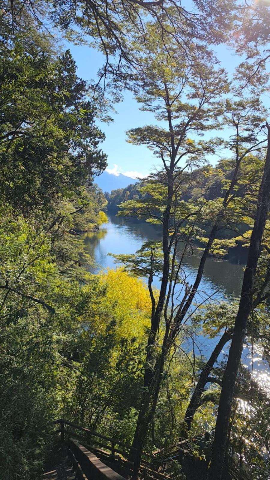 Vista Bonita